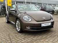 Gebraucht VW Beetle Cabriolet Design 105 PS (77 kW) 2013 Braun Cabrio