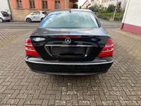 gebraucht Mercedes E240 