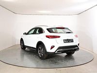 Neu Kia XCeed Silver 150 PS (110 kW) 2025 Carraraweiß SUV