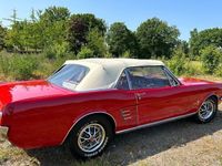 gebraucht Ford Mustang Cabrio J.1966 V8 289 Sammlerzustand