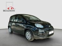 Gebraucht Fiat Panda 69 PS (50 kW) 2023 Schwarz Kleinwagen