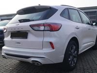 Gebraucht Ford Kuga ST-Line 111 PS (81 kW) 2023 Weiss SUV