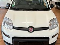 gebraucht Fiat Panda 1.0 GSE Hybrid City Life