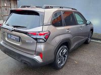 Neu Subaru Forester 136 PS (100 kW) 2025 Brilliant bronze SUV