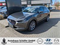 Gebraucht Mazda CX-30 Exclusive 140 PS (102 kW) 2022 Grau SUV