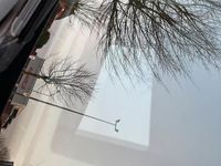 Gebraucht BMW 520 Luxury Line 184 PS (135 kW) 2013 Schwarz Limousine