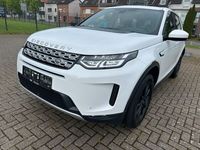 Gebraucht Land Rover Discovery Sport Basis 150 PS (110 kW) 2020 Weiß SUV