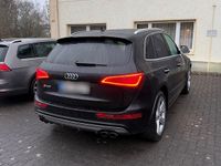 Gebraucht Audi SQ5 Competition 326 PS (239 kW) 2017 Schwarz SUV