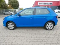 Usata Skoda Fabia Cool Plus 60 CV (44 kW) 2019 Blu Utilitaria