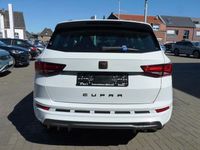 Neu Cupra Ateca Basis 150 PS (110 kW) 2026 "nevada" weiss SUV