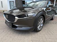 Gebraucht Mazda CX-30 Selection 122 PS (89 kW) 2022 Grau SUV