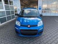 Neu Fiat Panda Icon 65 PS (47 kW) 2026 Blau Kleinwagen