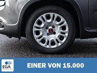 Gebraucht Fiat Panda 69 PS (50 kW) 2023 Kleinwagen