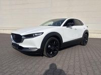 Neu Mazda CX-30 Homura-Line 140 PS (102 kW) 2026 SUV