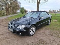 Gebraucht Mercedes CLK200 163 PS (119 kW) 2003 Schwarz Cabrio