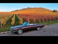Gebraucht Ford Thunderbird 300 PS (220 kW) 1966 Coupé