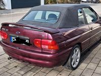 Gebraucht Ford Escort Cabriolet 116 PS (85 kW) 1996 Violet Cabrio