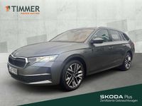Gebraucht Skoda Octavia Tour 150 PS (110 kW) 2025 Grau Kombi