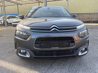 Gebraucht Citroën C4 Cactus Shine 102 PS (75 kW) 2020 Grau Kleinwagen