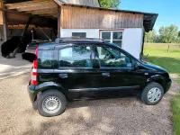 Occasion Fiat Panda 60 ch (44 kW) 2007 Noir Citadine