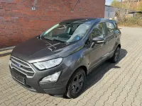 Usado Ford Ecosport Trend 101 CV (74 kW) 2020 Gris SUV