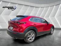 Gebraucht Mazda CX-30 Selection 150 PS (110 kW) 2021 Rot SUV