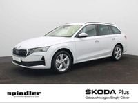 Gebraucht Skoda Octavia 150 PS (110 kW) 2026 Moonweiss metallic Kombi