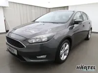 Usado Ford Focus Sport 150 CV (110 kW) 2014 Gris Berlina
