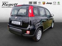Gebraucht Fiat Panda 69 PS (50 kW) 2024 Schwarz Limousine