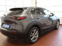 Gebraucht Mazda CX-30 Selection 116 PS (85 kW) 2019 Machine gray SUV