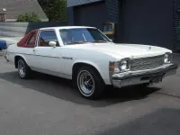 Gebraucht Buick Skylark 1976 Weiß Coupé