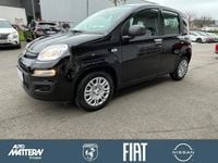 Neu Fiat Panda Icon 69 PS (50 kW) 2025 Schwarz Kleinwagen