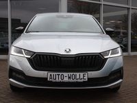 Gebraucht Skoda Octavia First Edition 150 PS (110 kW) 2021 Andere Limousine