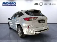 Gebraucht Ford Kuga ST-Line X 132 PS (97 kW) 2022 Weiss SUV