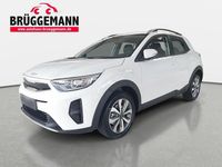 Neu Kia Stonic Vision 101 PS (74 kW) 2025 Weiß SUV