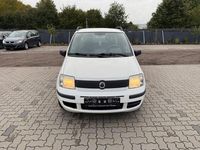 Gebraucht Fiat Panda Active 54 PS (39 kW) 2009 Weiß Kleinwagen