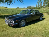 Gebraucht Jaguar XJ12 295 PS (216 kW) 1991 Schwarz Limousine