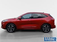 Gebraucht Ford Kuga ST-Line X 152 PS (111 kW) 2022 Rot SUV