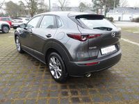 Gebraucht Mazda CX-30 Selection 179 PS (131 kW) 2021 Grau SUV