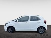 Gebraucht Kia Picanto Vision 63 PS (46 kW) 2025 Weiß Kleinwagen