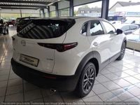 gebraucht Mazda CX-30 2.0L e-SKYACTIV G 122ps