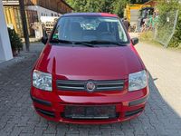 Gebraucht Fiat Panda 60 PS (44 kW) 2009 Rot Kleinwagen