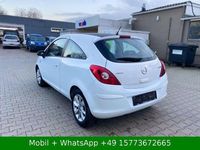 Gebraucht Opel Corsa Energy 69 PS (50 kW) 2014 Weiß Kleinwagen