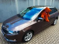 Gebraucht Skoda Rapid Style 110 PS (80 kW) 2018 Braun Kleinwagen