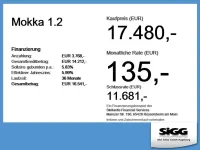 Gebraucht Opel Mokka Elegance 131 PS (96 kW) 2023 Matcha green SUV