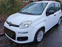 Gebraucht Fiat Panda Easy 69 PS (50 kW) 2017 Weiß Kleinwagen