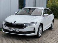 Neu Skoda Octavia Selection 116 PS (85 kW) 2025 Candyweiss Kombi