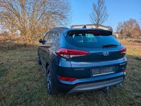 Gebraucht Hyundai Tucson 185 PS (136 kW) 2017 Blau SUV