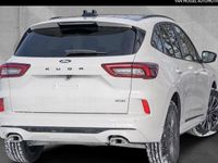 Neu Ford Kuga 183 PS (134 kW) 2026 Weiß SUV