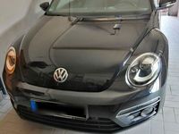gebraucht VW Beetle Beetle TheCabriolet 1.4 TSI BlueMotion Technology